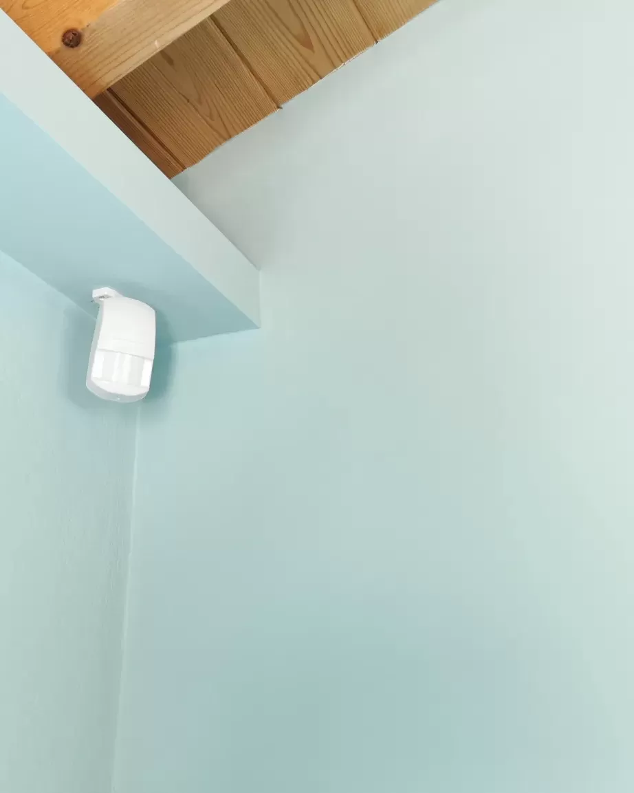 motion sensor for security